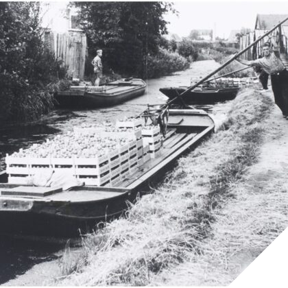 Rondleiding Naaldwijk