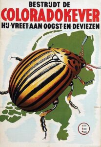 Poster "Bestrijdt de coloradokever"