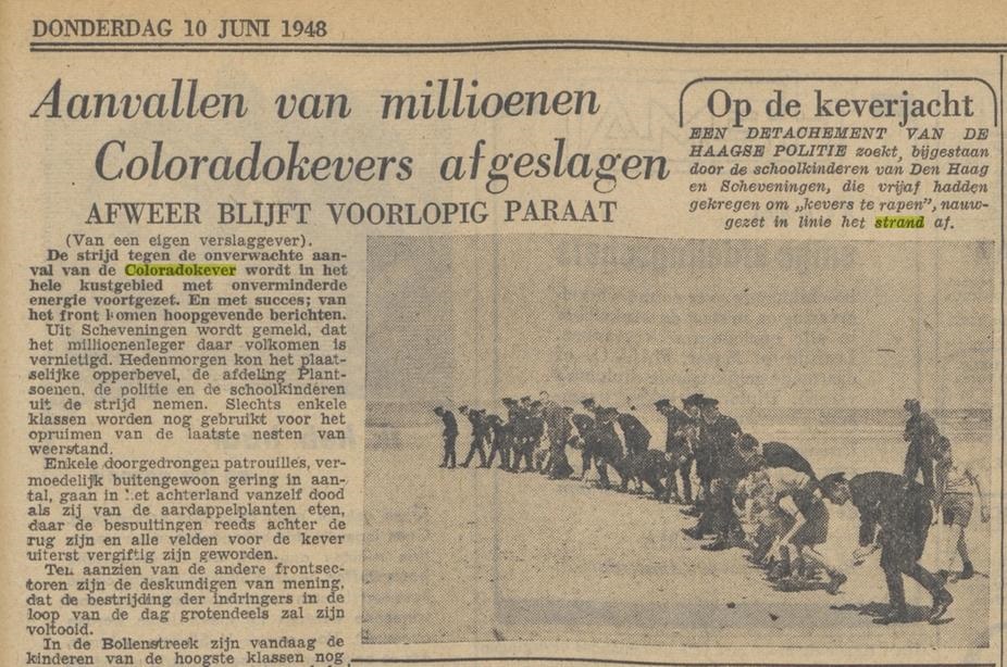 Krantenartikel uit het parool, 10 juni 1948. "Aanvallen van millioenen Coloradokevers afgeslagen"